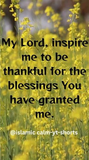 A Beautiful Dua of Shukr | Thanking Allah for Every Blessing#dua#islamiccalm#happy#thanks#powerful
