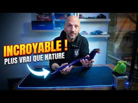 JAI ACHETÉ UN SERPENT TÉLÉCOMMANDÉ PLUS VRAI QUE NATURE !