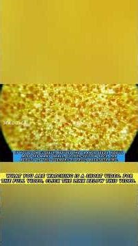 Diving into the Microscopic World of Turmeric! The Secret of Color, Power, and Unexpected Magic