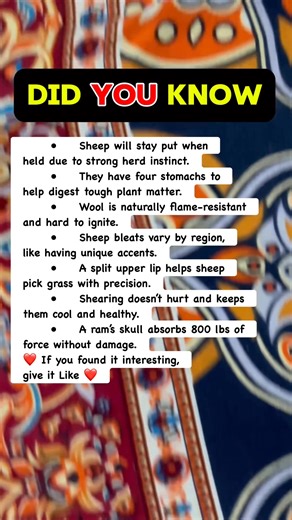 397K views · 4.4K reactions |  7 Surprising Facts About Sheep! | Devlop Express | Facebook