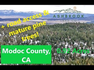 ***SOLD*** 0.92 Acres Amongst the Pines | Alturas, CA