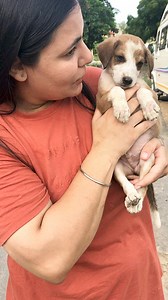 92K views · 8.3K reactions | Aww iske mumma ab …… #puppy #puppies #puppylove #puppylovers #puppylife #dogmother #dogmom #dog #dogs #dogfood #doglife #doglover #doglovers #supportus #blessings #love #reels #viral #instareels #insta #instagram #fb #fbreels #fbreelsvideo #fbreelsfypシ゚viral | Bezubaanjaan1517 | Facebook