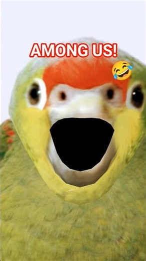 AMONG US!😂 #meme #amongus #funny