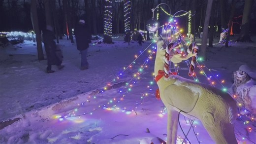 Wood County nature preserve holiday lights and wildlife learning