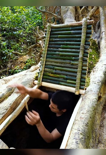 Building a Treehouse: Ultimate Survival Guide