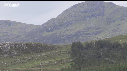 🌳 Achanalt is a small settlement located in the Ross and Cromarty district of Highland Council Area. Found along our Inverness and Kyle of Lochalsh route, it's a rural station some of you might not have visited. Let's have a wee look around Achanalt. ⬇️ | ScotRail