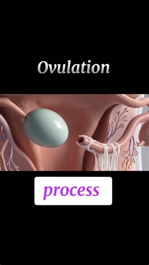 #MedicalEducation #HumanBiology | Explain Surgery