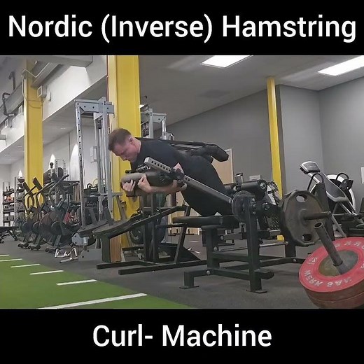 Nordic (Inverse) Hamstring Curl- Machine