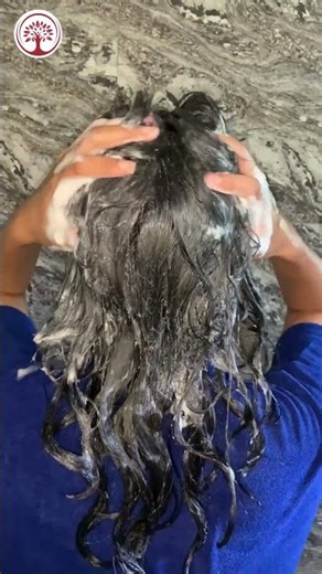 Ivory Natural - Anti Grey Hair Shampoo Organic For Premature Greying Care and Natural Black Color