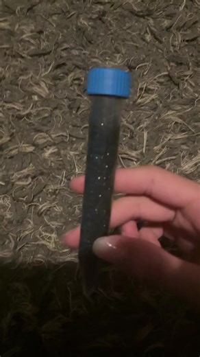 star dust fidget #satisfying #fidget #watertimefidget