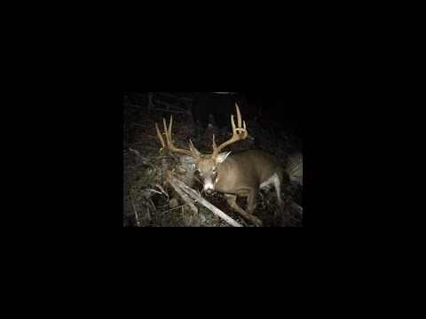 old Indian deer hunting trick part 2