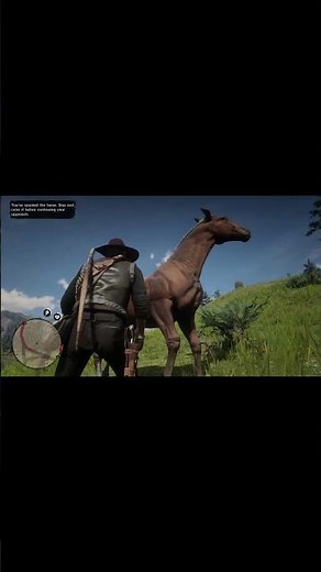 Horseman challenge #10 Hungarian Halfbred location #rdr2 #rdr2game #reddeadredemption2