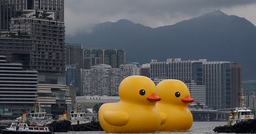 When Is Two Too Many? When It's a 'Double Whammy'!