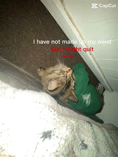 Don't mind the little text
