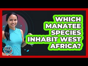 Which Manatee Species Inhabit West Africa?