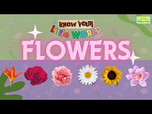 Learn about FLOWERS | Know Your Little World | Educational Video for Kids | Beginnings | Flower Time