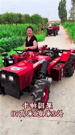 Super Low Side-Sided Orchard Greenhouse King #Tractor #Four-Wheel Drive Tractor #Agriculture