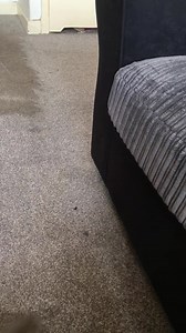 PLEASE GET BOOKING NOW FOR XMAS WHEN WE ARE FULL I CANT MAKE SPACES THANK YOU PAUL AND TEAM | Pg Carpet Cleaning