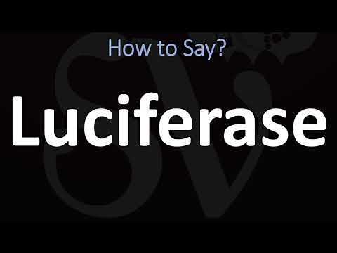 How to Pronounce Luciferase? (CORRECTLY)