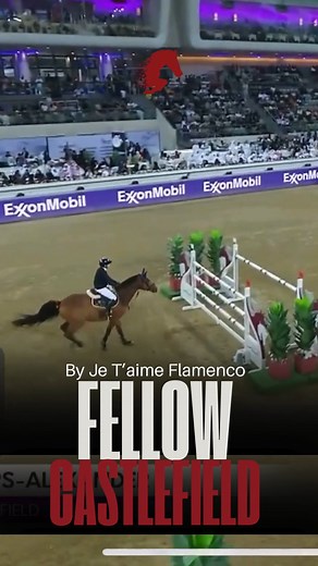 3.6K views · 41 reactions | Stallion AI Services on Reels | Facebook