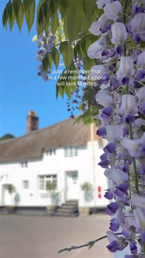 Discover the Beauty of Exmoor: Spring into Summer! Join us on a journey to Exmoor, where spring seamlessly transforms into a vibrant summer paradise. Experience the breathtaking landscapes as wildflowers bloom and lush greenery blankets the hills. Enjoy exploring serene hiking trails, spotting diverse wildlife, and soaking in the stunning views. Whether you’re a nature enthusiast or seeking a peaceful getaway, Exmoor offers an unforgettable escape. Plan your adventure today and embrace the magic