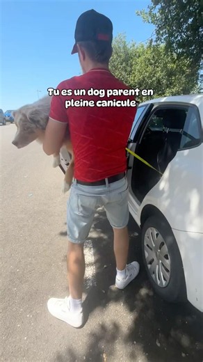 Tout ce qu’on fait pour leur bien ❤️🐶