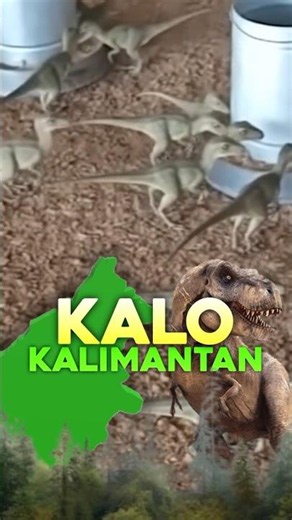 Jakarta VS Kalimantan
