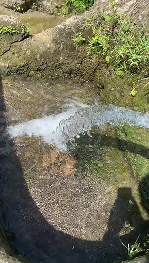 pantai viral di pacitan #pantaipangasan #wisatapacitan #pantaiselatan #fyp