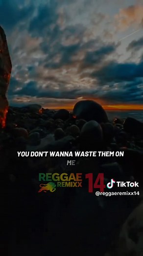 Alan Walker - Who I Am Reggae Remix