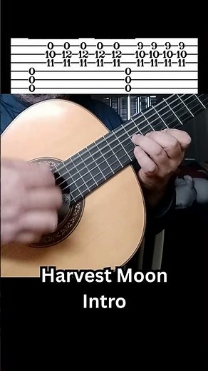 The Most Beautiful Acoustic Intro Ever - Guitar Lesson