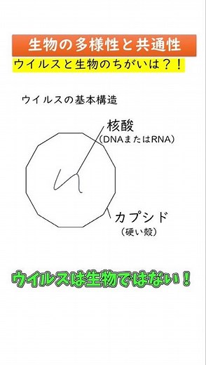 【高校生物基礎】ウイルスが生物ではない理由3選#生物の共通性と多様性#生物の多様性と共通性