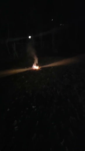 Snake Bite (Salute) Fire Cracker Firework #pyroaddicts #fireworksdisplay