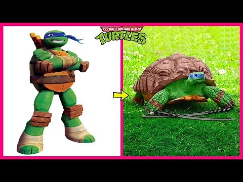 🐢 Teenage Mutant Ninja Turtles 🔥 Real Life