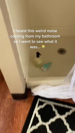 Garter Snake Encounter in the Toilet Explained