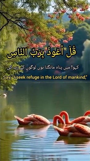 سورة الناسSurah An-Naas | Beautiful Quran Recitation | The Reciting Heart