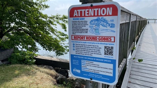 DNR proposes change of fishing rules to combat growth of round goby in Lake Winnebago
