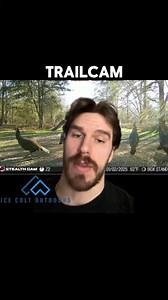 3.3K views · 26 reactions | Have you seen this? #trailcam #trailcamera #trailcameras #hunt #hunting #wildlife #Nature #outdoors | Ice Colt Outdoors | Facebook