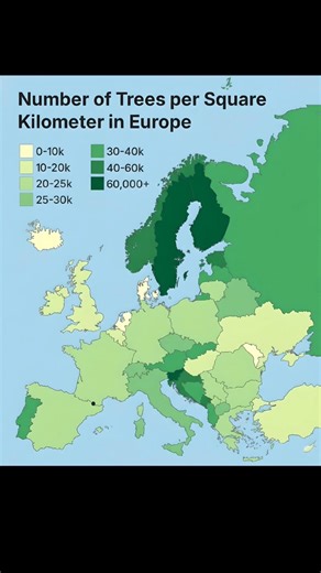 How Many Trees Are There Per km² in Europe? 🌳🌍