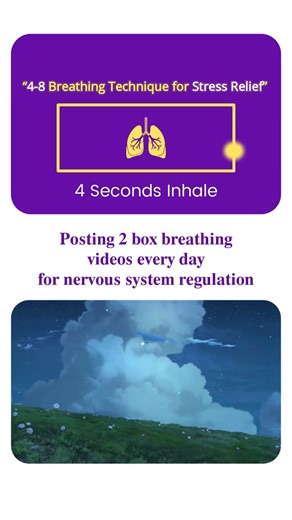 4-8 Box Breathing to Calm Your Nervous System | Daily Practice