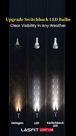 Halogen vs LED vs LDplus — Which Light Wins the Road? 🔥