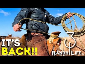 New 3:10 Ranch Ropes, Your favorite poly is back!
