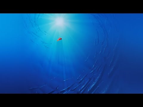 [REUPLOAD] Thomas Newman Suite | Heartfelt, Emotional and Relaxing