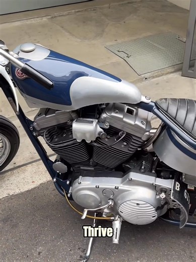 110K views · 2.5K reactions | Meet the 'Kuzuri'—a custom Harley-Davidson XL1200 by Thrive Motorcycles. @top fans | Chopper King | Facebook