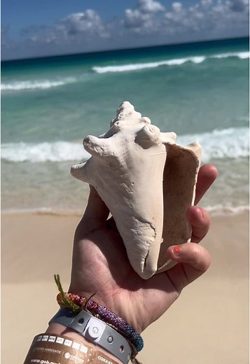 Cali Cannon221 on TikTok