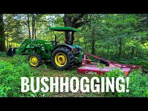 BUSHHOGGING with a John Deere!