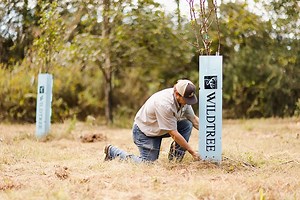 Protect Your Trees From Wildlife Damage | Tree Guards At Wildtree