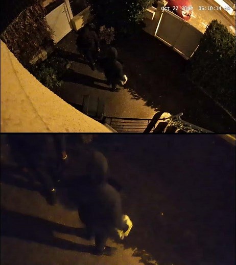 Agression 3 Video2 2025 10 22 06 10 13