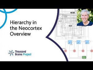 2023/01 - Hierarchy in the Neocortex Overview