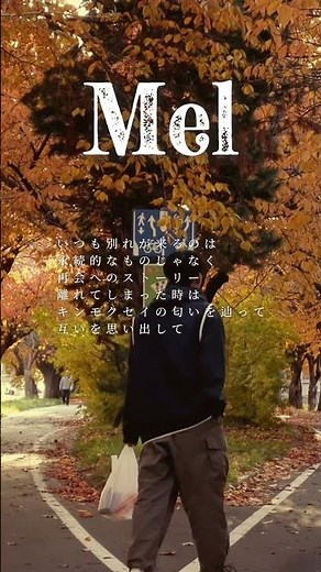 「キンモクセイ」MV公開中 #オリジナル曲 #作詞作曲 #編曲 #キンモクセイ #Mel
