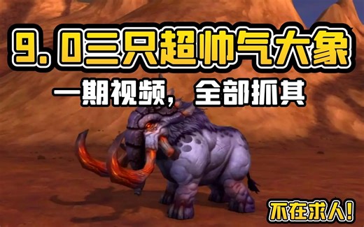 【老司机】9.0三只超帅气大象，一期视频，全部抓齐！（魔兽世界百大系列-猎人宠物108）